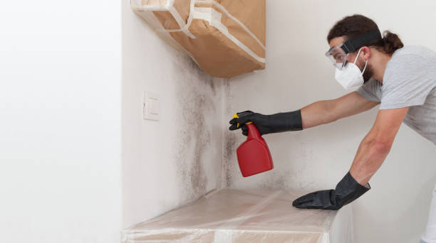 Professional Bathroom Mold Removal technician working in Westminster, TX