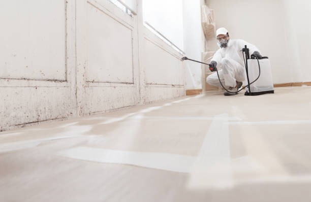24/7 Emergency Bathroom Mold Removal experts in Westminster, TX