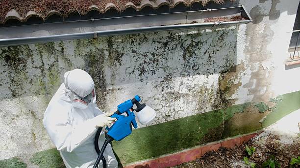 Top rated local Bathroom Mold Removal specialists in Westminster, TX
